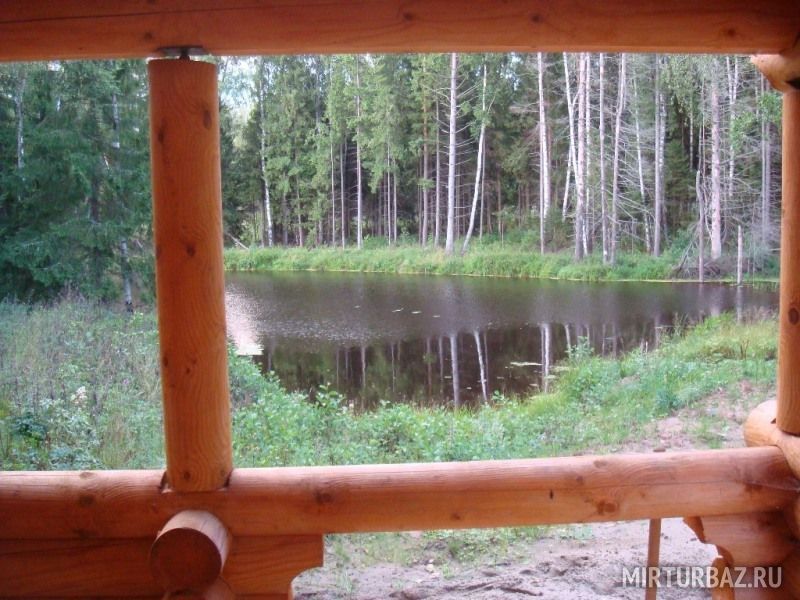 Вид из окна