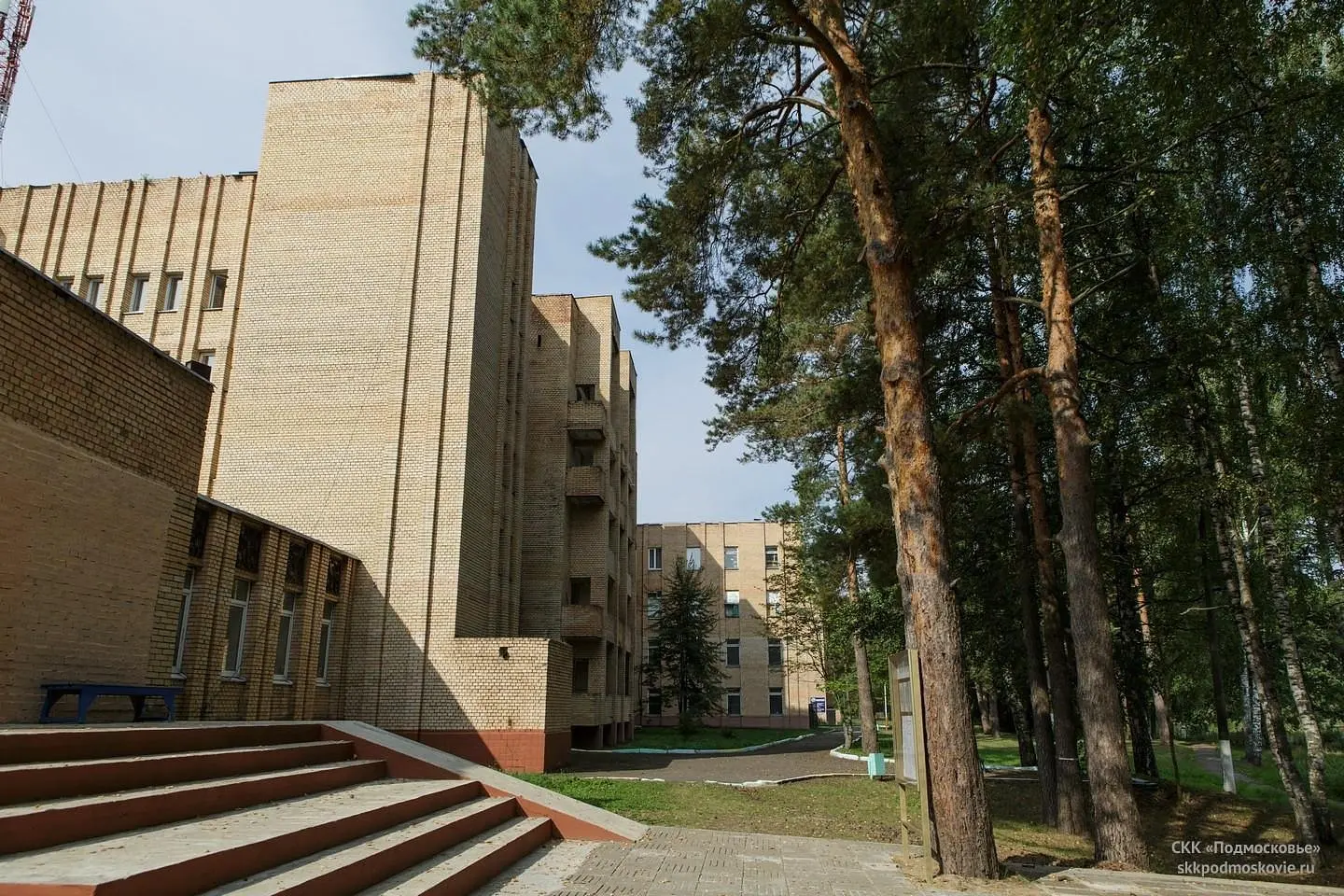 Боровое, Московская область: фото 3