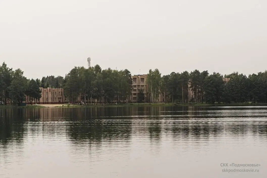 Боровое, Московская область: фото 4