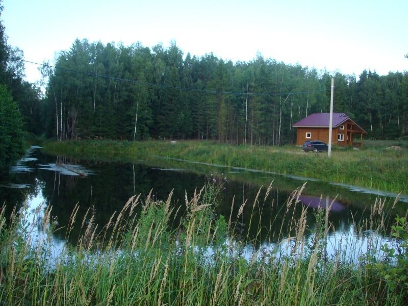 Домик на берегу водоема