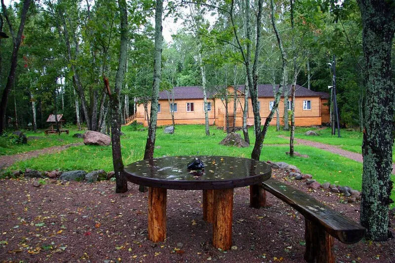 Природа | Соколинское, Ленинградская область