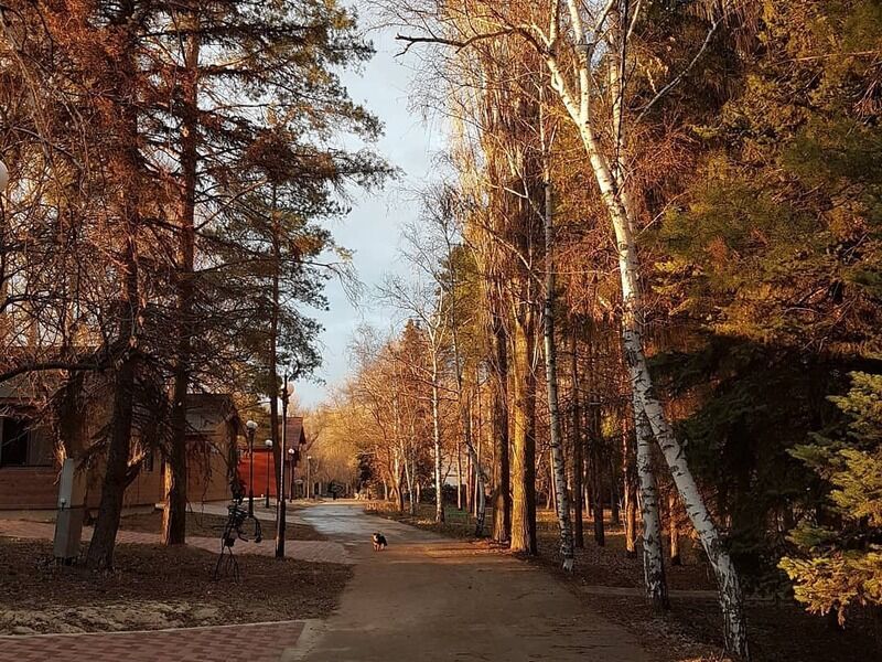 Нептун, Волгоградская область: фото 5