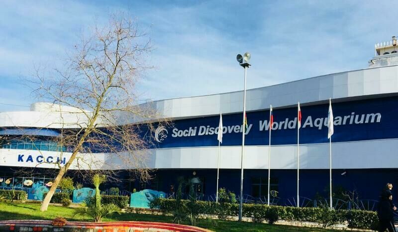 Виолетта, Краснодарский край: фото 3