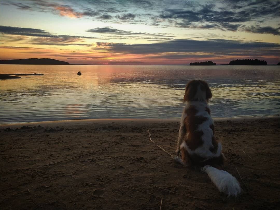 Фото 24 из отзыва о базе отдыха Сямозеро