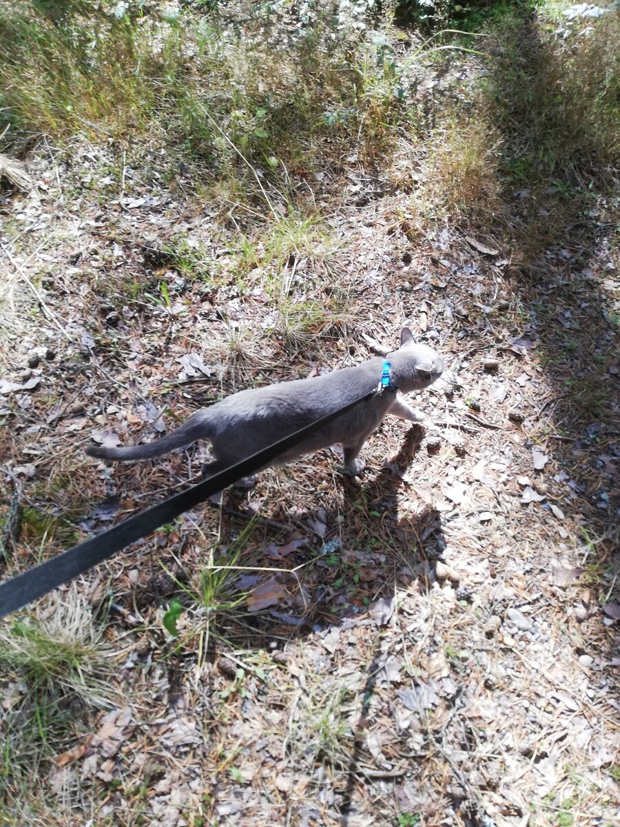 Фото 28 из отзыва о базе отдыха Сямозеро