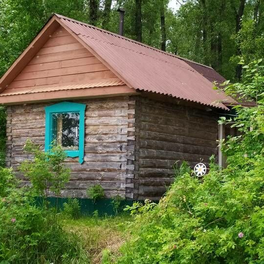 Ромашкино, Томская область: фото 3