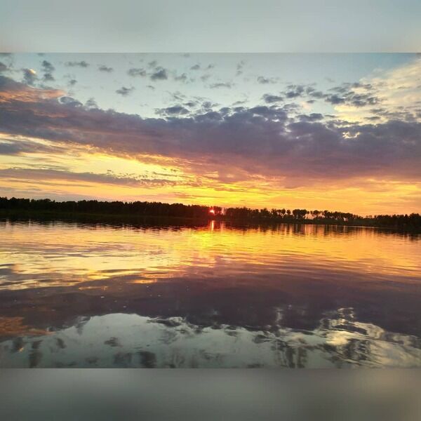 Ромашкино, Томская область: фото 4