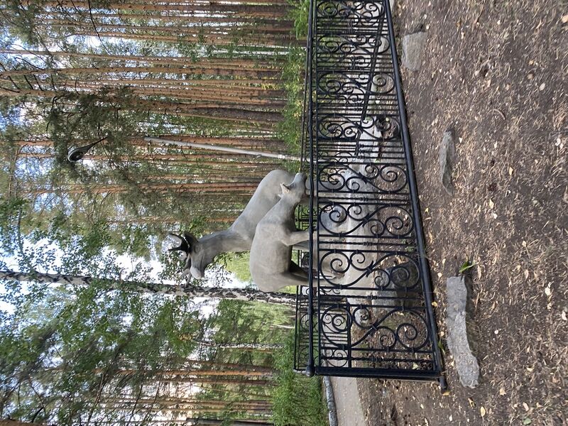 Фото 8 из отзыва об апартаментах на Еловом