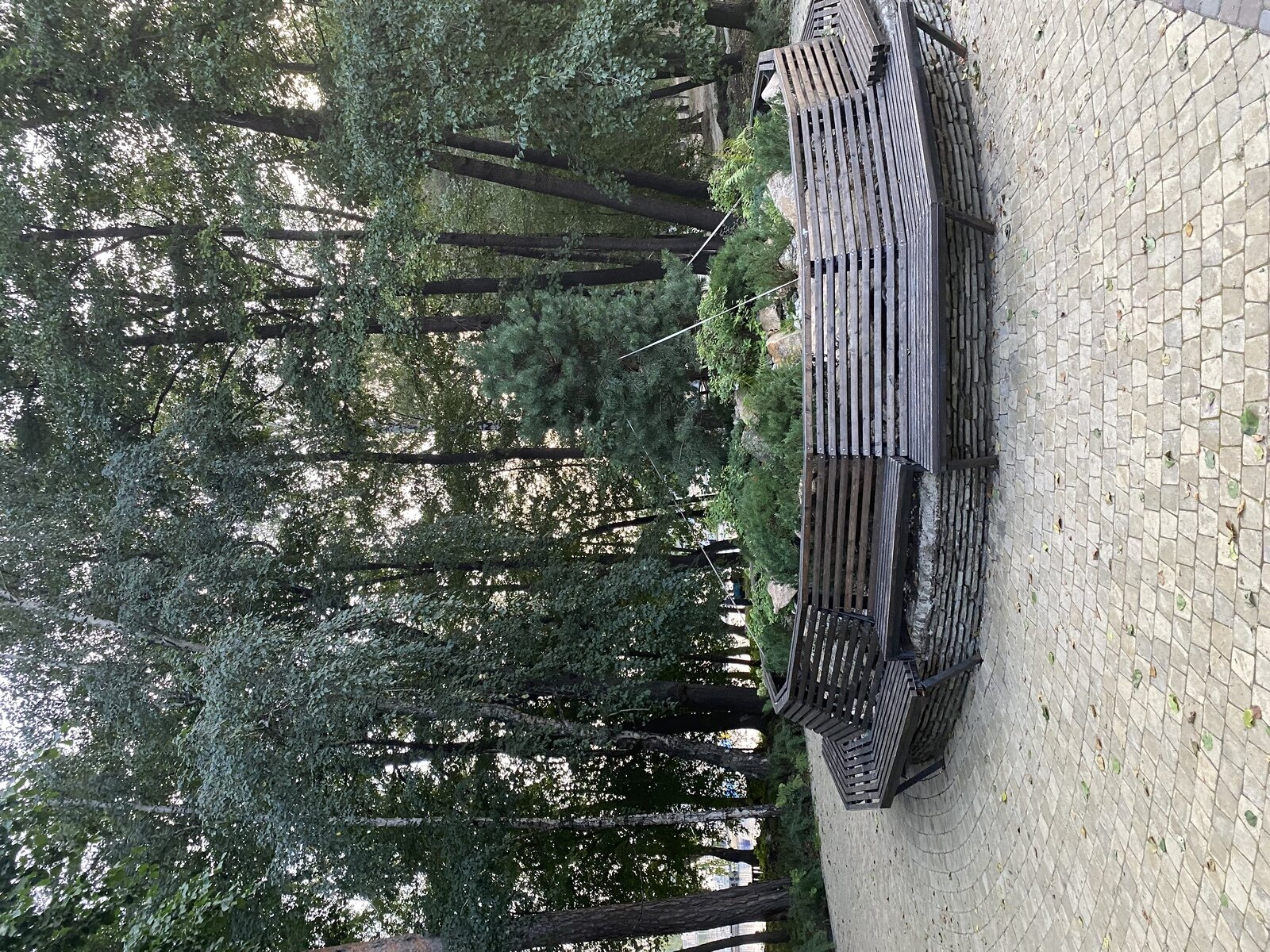 Фото 15 из отзыва об апартаментах на Еловом