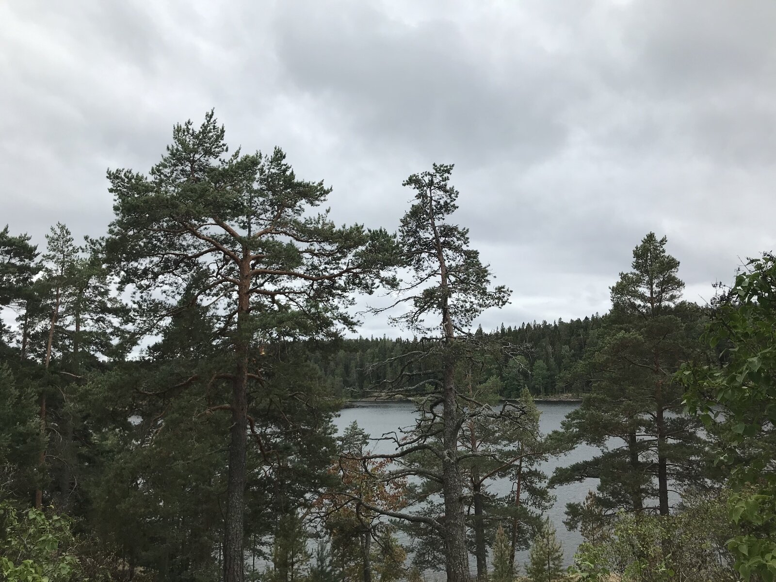 Фото 16 из отзыва о базе отдыха Арсенал