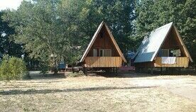 «Летние домики», Турбаза Островок (Царевщина), поселок Царевщина