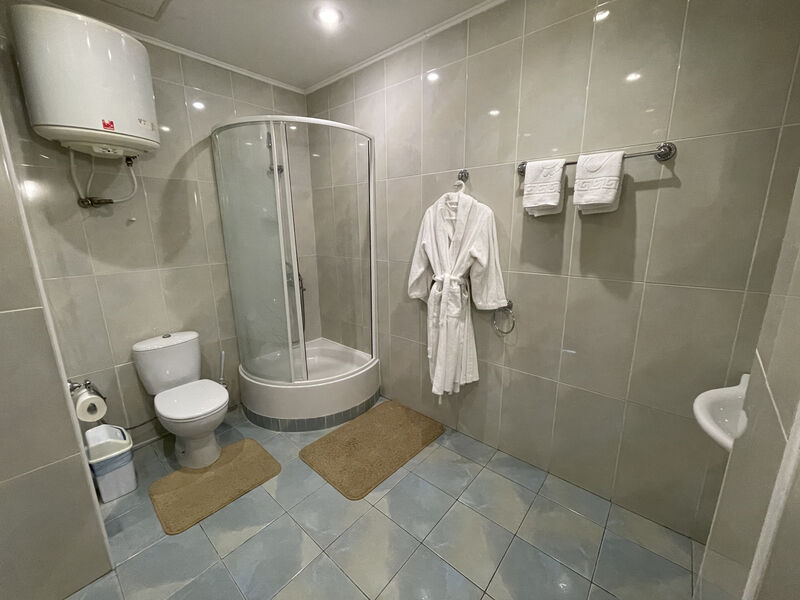 делюкс 313 (4)