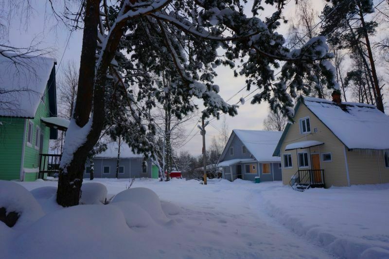 Кот Матроскин, Ленинградская область: фото 5