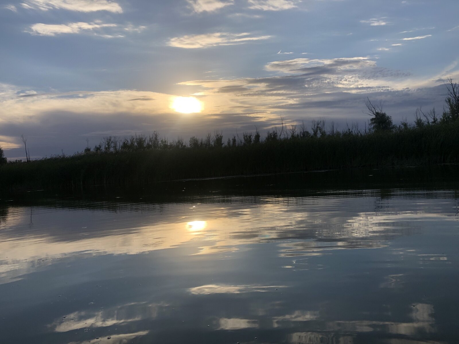 Фото 235 из отзыва о базе отдыха Донская Миля