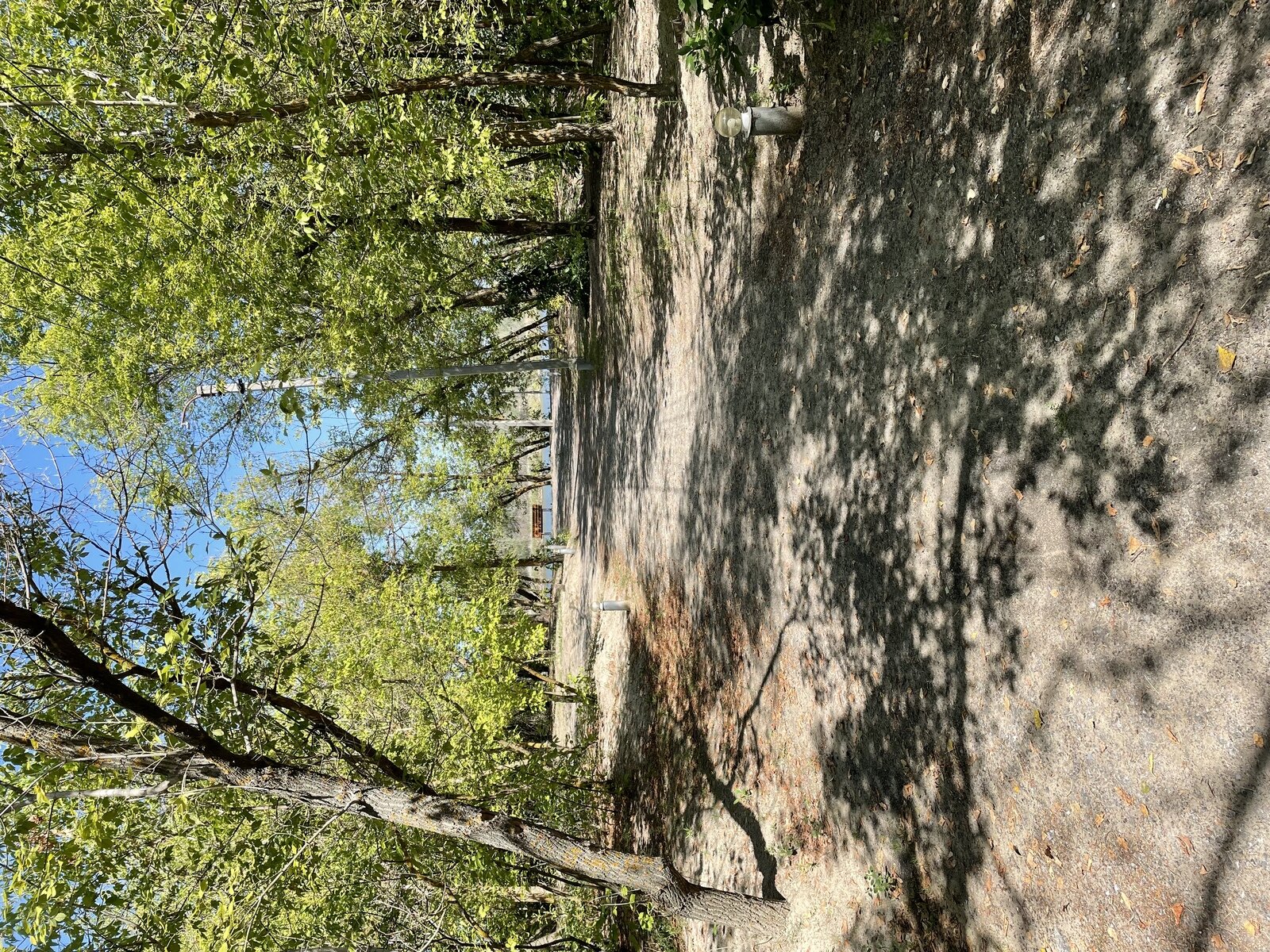 Фото 43 из отзыва о базе отдыха Дон