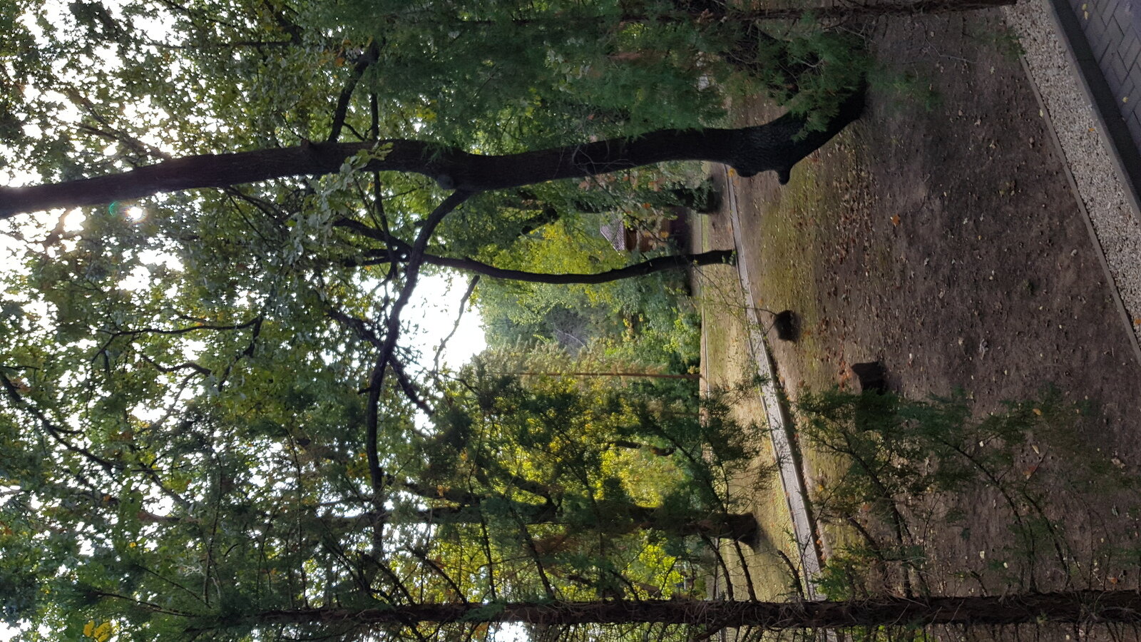 Фото 4 из отзыва о загородном клубе Нефтяник