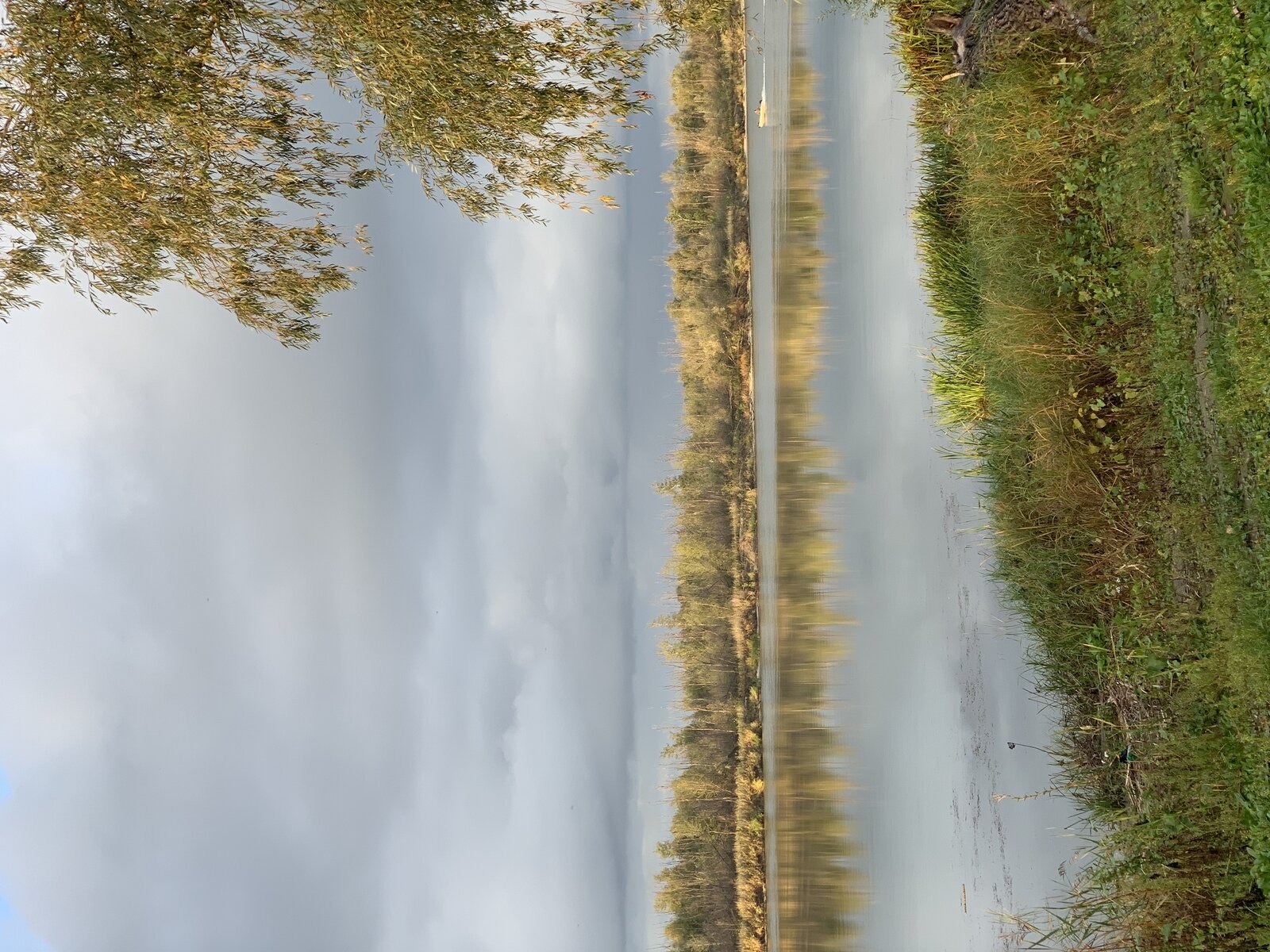 Фото 42 из отзыва о базе отдыха Дон