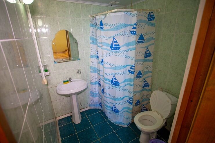 Стандартный 2-местный 1-комнатный на территории в коттедже