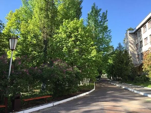 территория от основного корпуса | Белый берег, Гомельская область