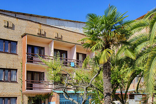 Внешний вид | Закавказье, Гагрский район