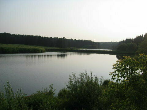 Пруд на базе отдыха «Лебяжье» | Лебяжье, Республика Удмуртия