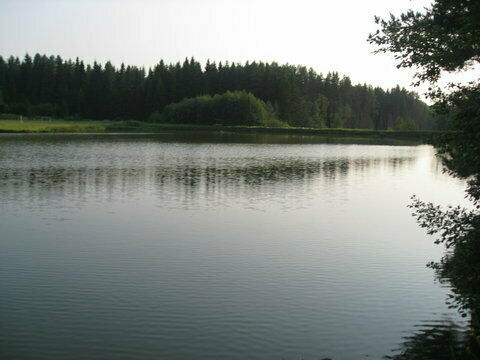 Пруд на базе отдыха «Лебяжье» | Лебяжье, Республика Удмуртия