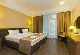 2-мест. станд. без балк., корп. 1, Дом отдыха имени Челюскинцев, Гагра