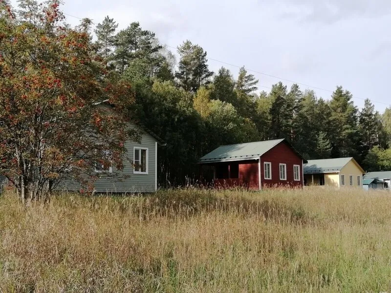 Хутор у залива, Ленинградская область: фото 5