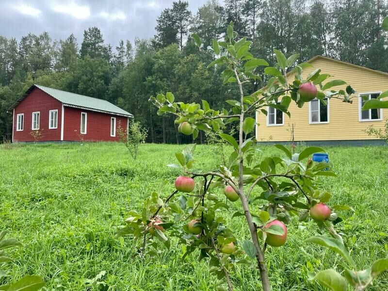 Рыбацкий хутор у залива, Ленинградская область: фото 4