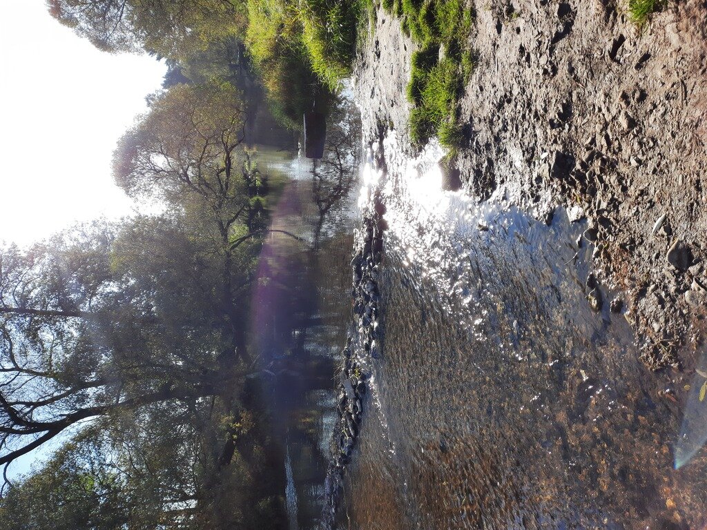 Фото из отзыва от 03.10.2021