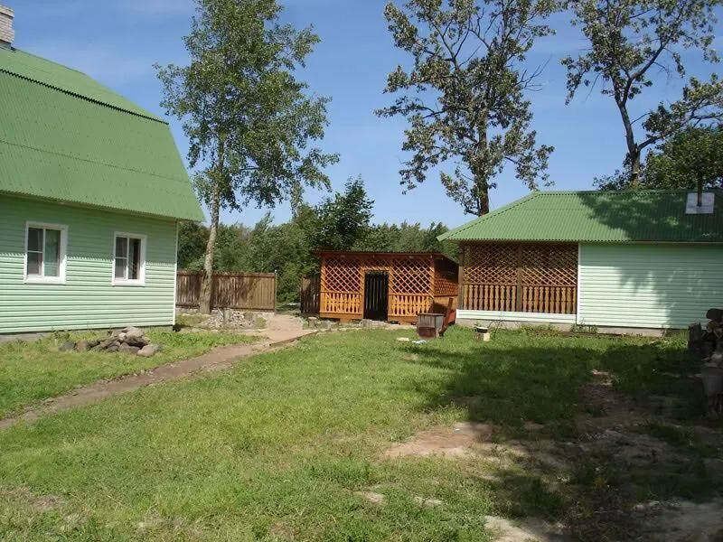 Новое Лигово, Ленинградская область: фото 2