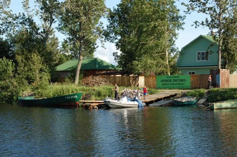 Новое Лигово, Ленинградская область: фото 4