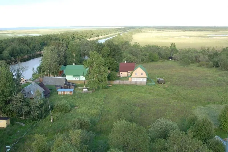 Новое Лигово, Ленинградская область: фото 5