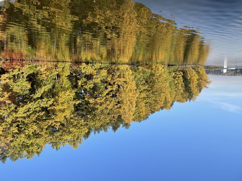 Апарт-отель Корабль, Московская область, Мытищинский район Мытищи Королев