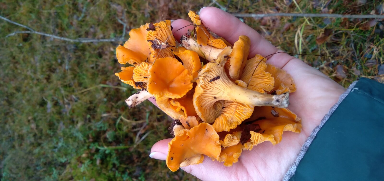 Фото 2 из отзыва о базе отдыха Рыбачий берег