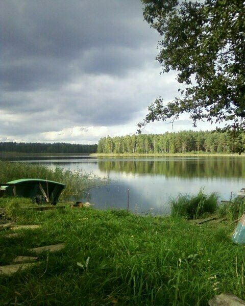 Красивейший пейзаж | Лесной хутор, Тверская область