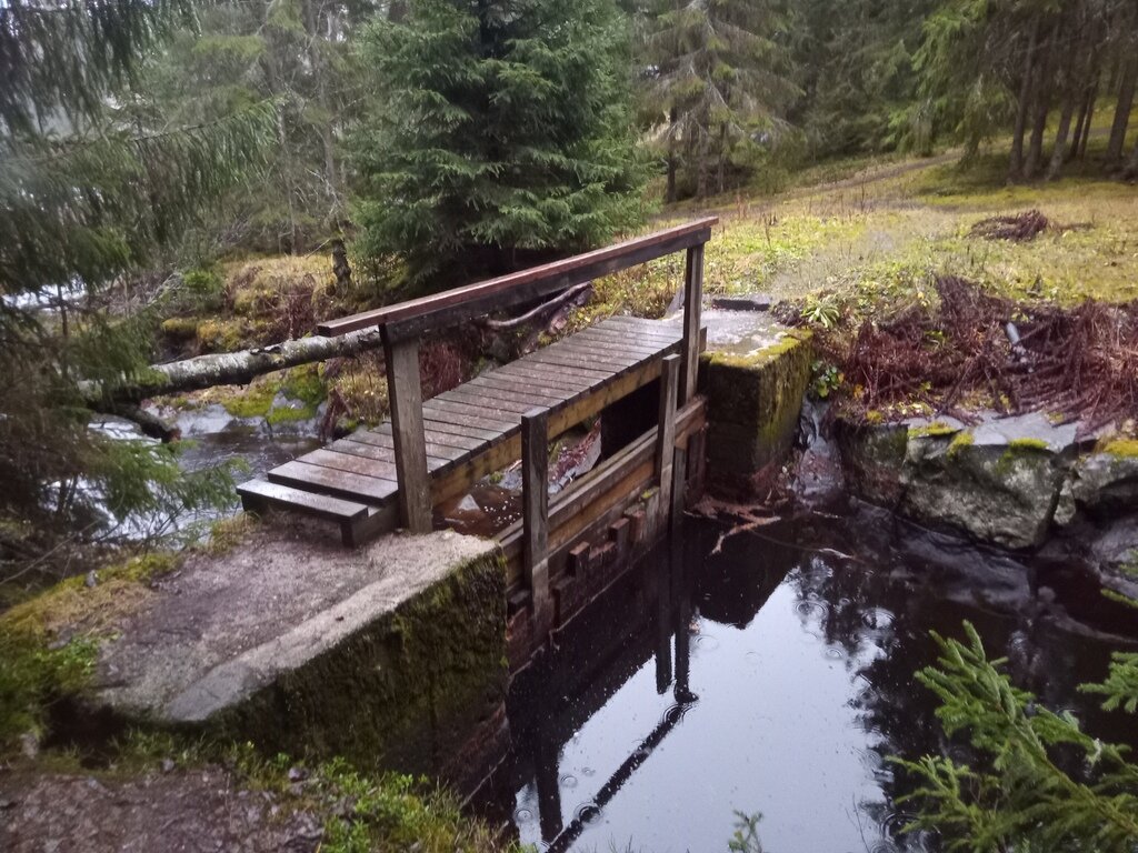 Фото из отзыва от 03.11.2021