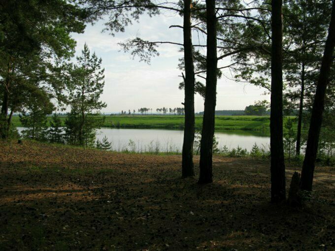 Вид на реку Зея | Ямайка, Амурская область