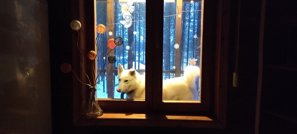 Фото из отзыва от 31.10.2021