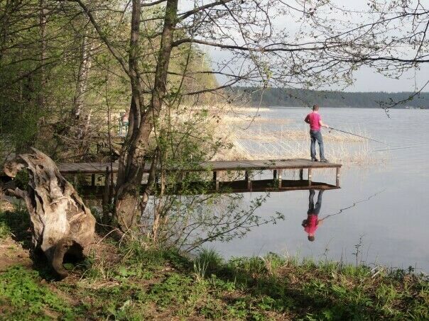 Пруд | Лосиный остров, Республика Удмуртия