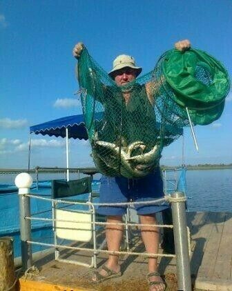 Здешние места кишат рыбой | Зеркальный Карп, Астраханская область