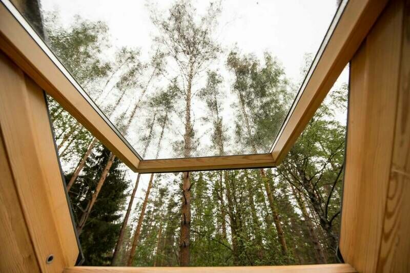 Коттедж 6-местный Лесной