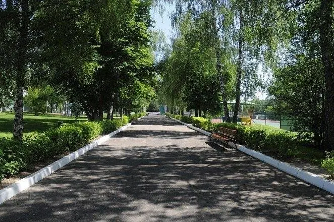 Красная гвоздика , Московская область: фото 5