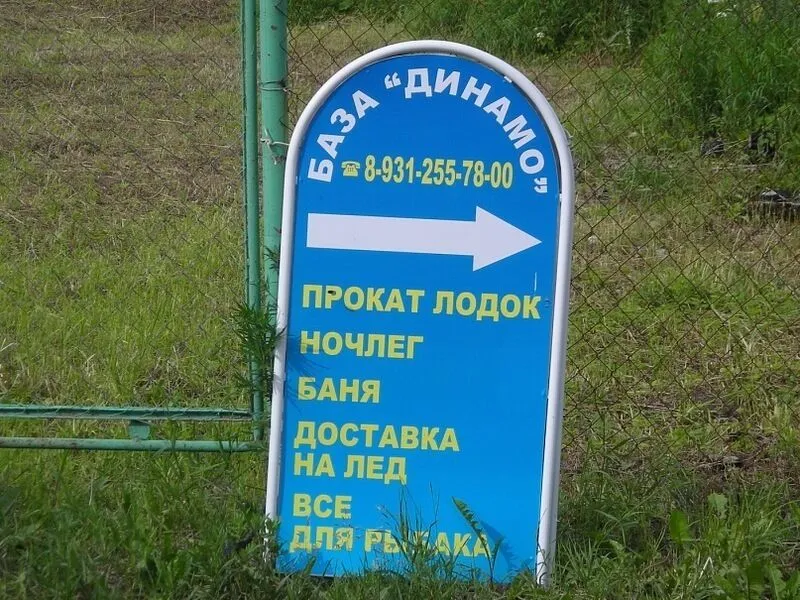Реклама | Динамо, Ленинградская область
