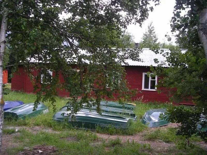 Лодки | Динамо, Ленинградская область