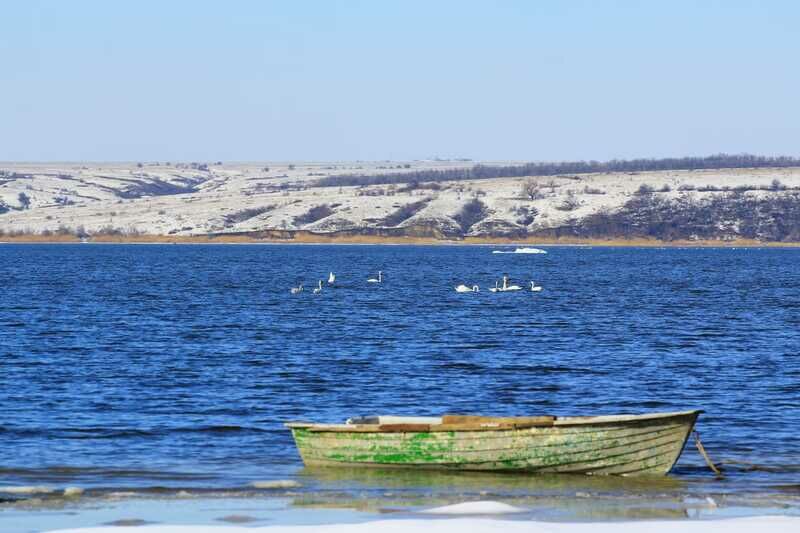 «Южная ночь» на Цимлянском берегу, Волгоградская область: фото 4