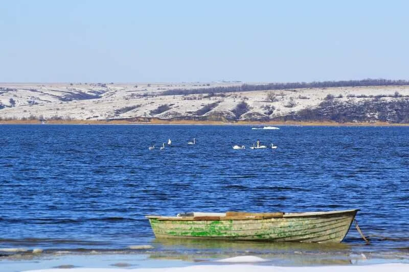 «Южная ночь» на Цимлянском берегу, Волгоградская область: фото 4