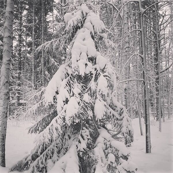 Фото 1 из отзыва о базе отдыха Тонус