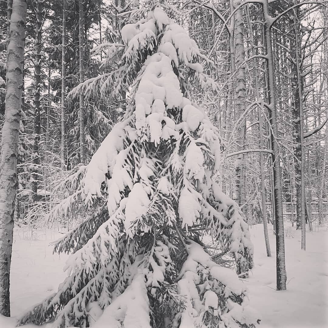 Фото 3 из отзыва о базе отдыха Тонус