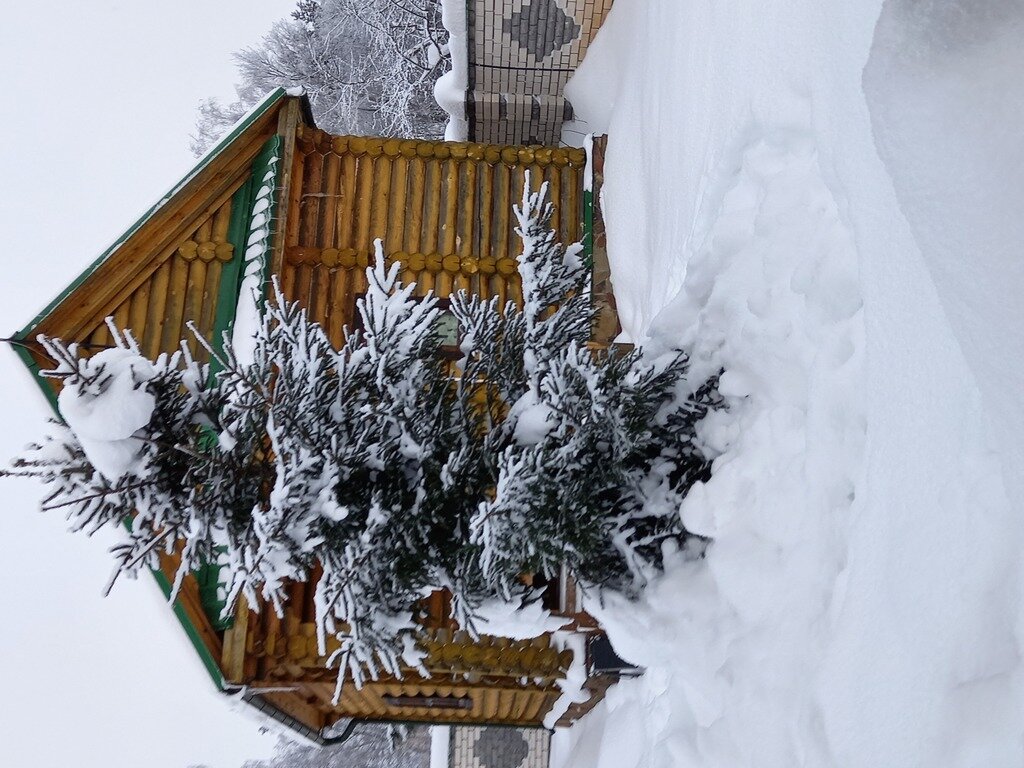 Фото из отзыва от 03.01.2022